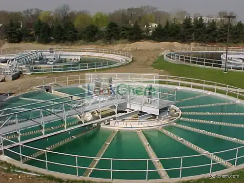 Water Treatment Anionic Polyacrylamide