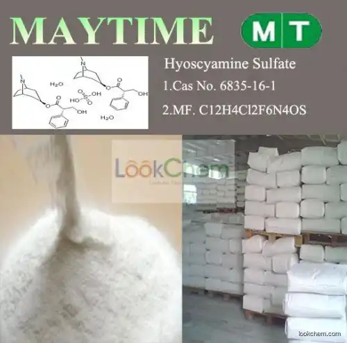 Hyoscyamine Sulfate/Hyoscyamine Sulphate Cas No.6835-16-1