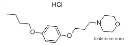 Pramocaine hydrochloride 637-58-1