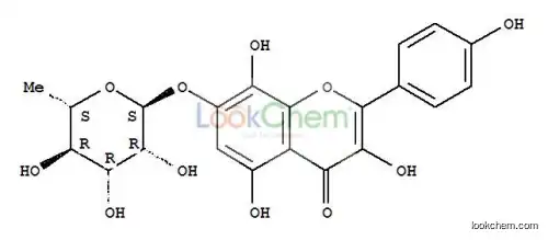 Rhodionin