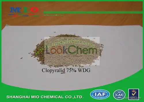 Clopyralid 75%WDG