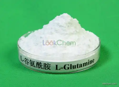 High purity L-Glutamine global