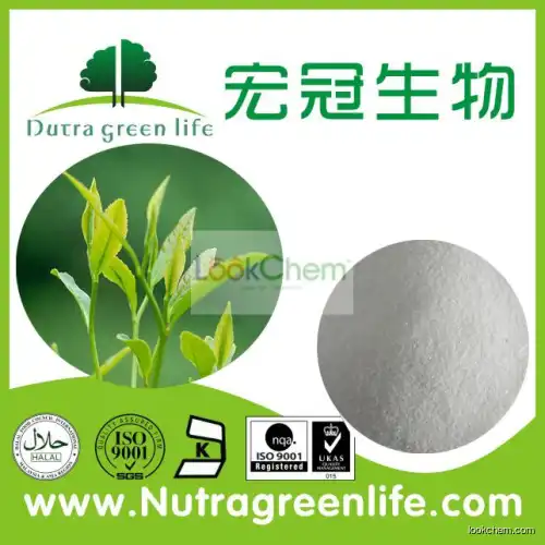 Export High Quality Green Tea Extract HPLC(3371-27-5)