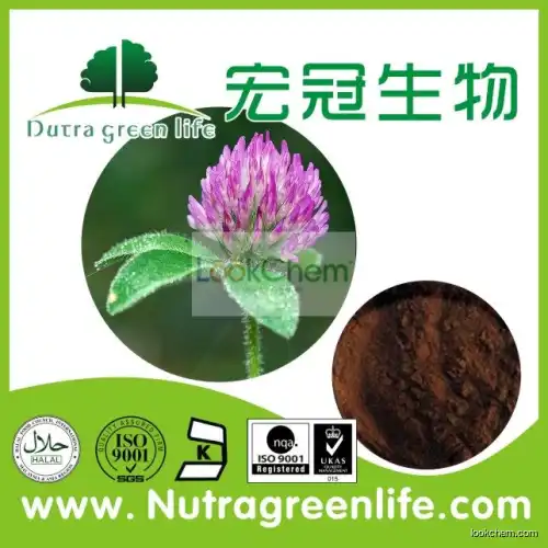 Biochanin A Red Clover Extract with top quality(491-80-5)