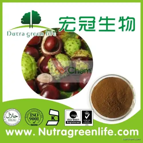 Aesculus chinensis seed extract(6805-41-0)