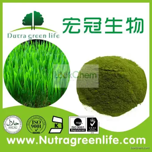barley grass powder(3595-05-9)