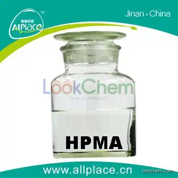 2-Hydroxyethyl methacrylate/HEMA