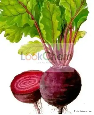 beet red color