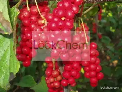 schisandra berry extract