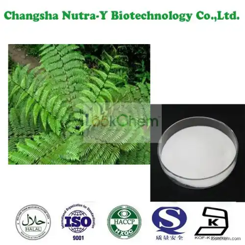 Huperzine A Huperzia Serrata Extract powder
