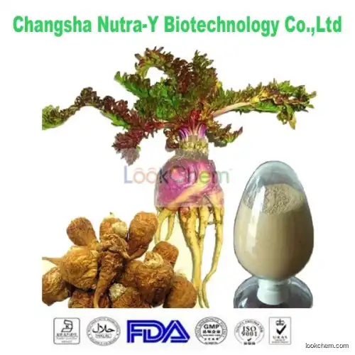 Maca Extract(84696-21-9)