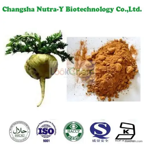 Maca Extract