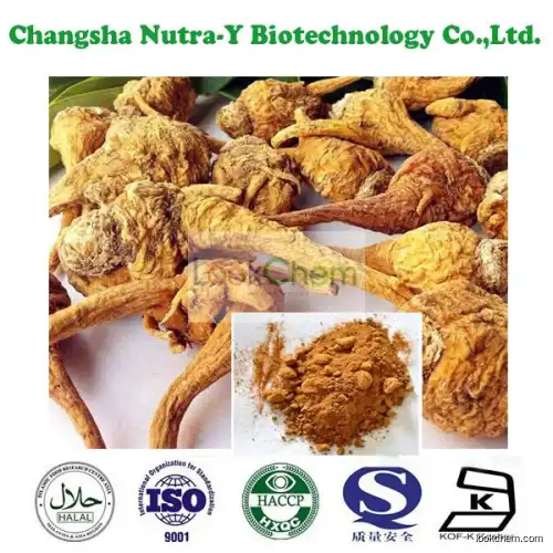 Maca Extract