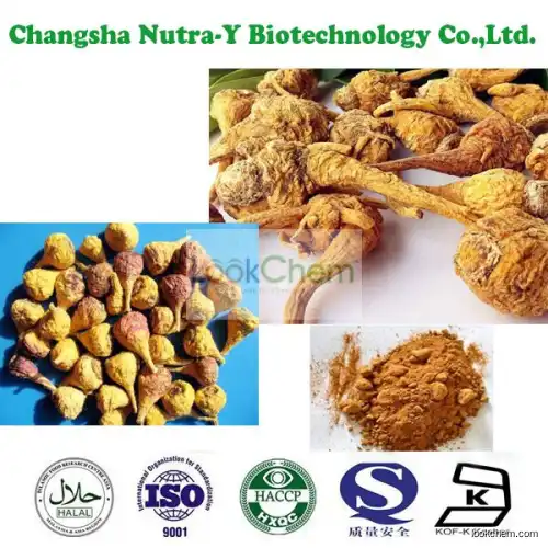 Maca Extract