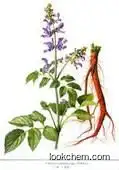 Salvia miltiorrhiza root extract Protocatechuicaldehyde