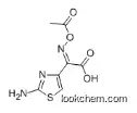 (Z)-2-(2-AMINOTHIAZOL-4-YL)-2-ACETYLOXYIMINOACETIC ACID