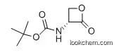 Carbamic acid, [(3R)-2-oxo-3-oxetanyl]-, 1,1-dimethylethyl ester (9CI)