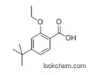 4-(t-Butyl)-2-Ethoxy Benzoic Acid