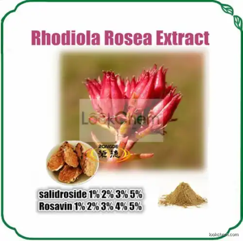 Rhodiola Rosea extract Salidroside Rosavin