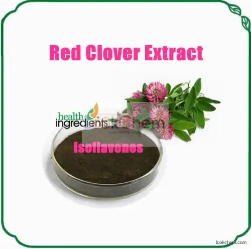100% Natural Herb Extract high quality 40% Isoflavone Red Clover Extract