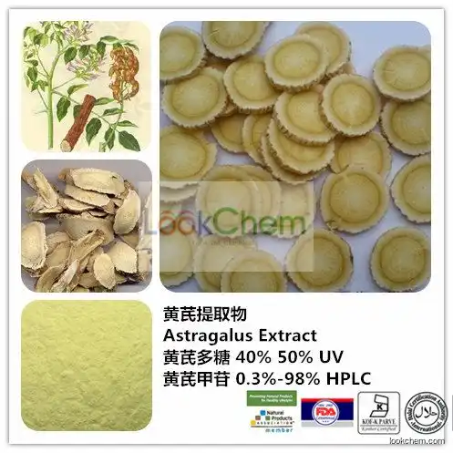 Astragalus Root Extract Astragaloside IV and cycloastragenol powder