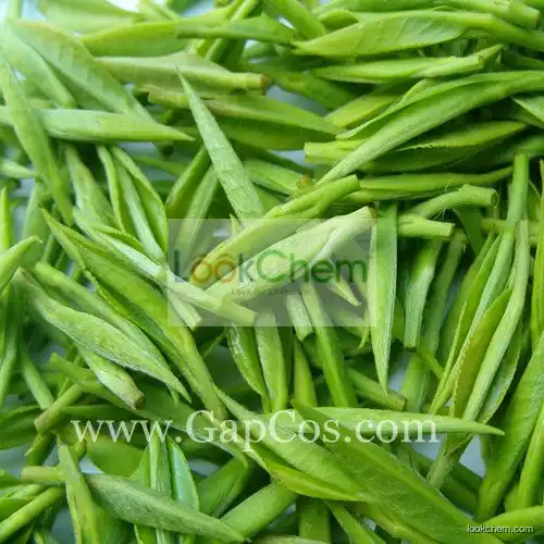 Natural Green Tea Extract Tea Polyphenols, EGCG, ECG