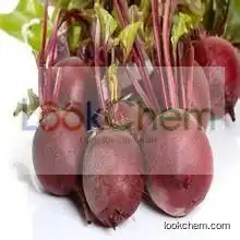 Good quality beetroot extract