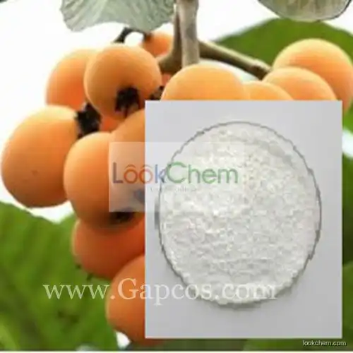High Quality Rosemary Extract ,Leaf of Loquat Extract, Ursolic Acid