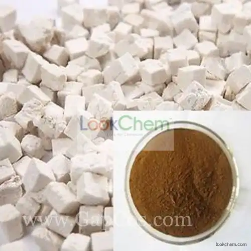 High Quality Poria Cocos Extract/Tuckahoe Extract Powder