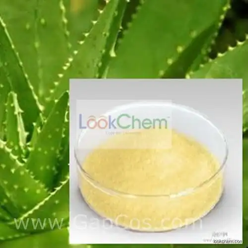 High Quality Aloe Vera Extract, Aloe Vera Extract Powder, Aloe Extract