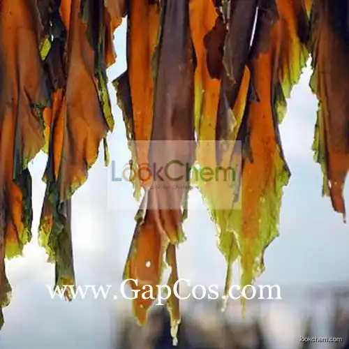 Top Quality 100% Pure Laminaria Japonica Extract Fucoidan, Seaweed Extract , Kelp Extract
