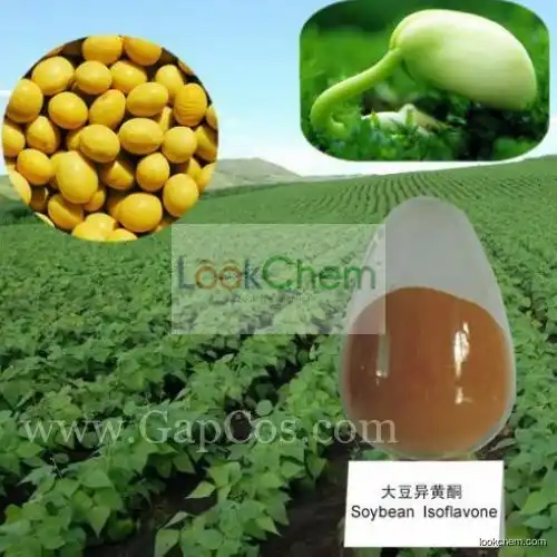 Soybean Extract (Soy Isoflavone)