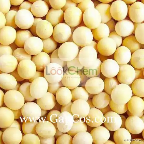 Soybean Extract (Soy Isoflavone)