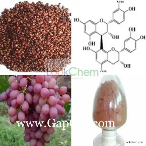 High Quality Proanthocyanidin 95% OPC Grape Seed Extract Pine Bark Extract