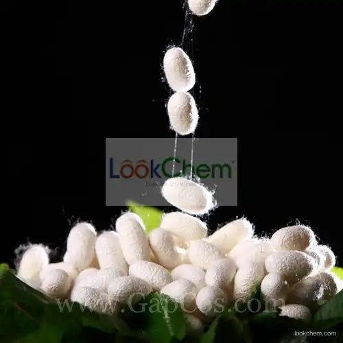 Natural Silk Protein Extract