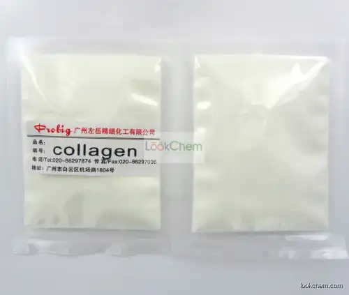 High Purity Collagen hydrolyzates 92113-31-0 CAS NO.92113-31-0