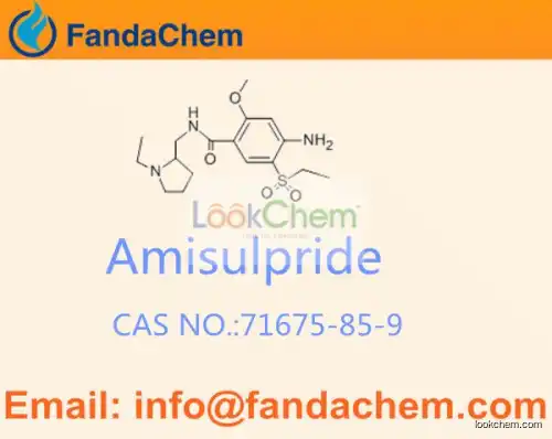 Amisulpride CAS NO  71675-85-9 EP5