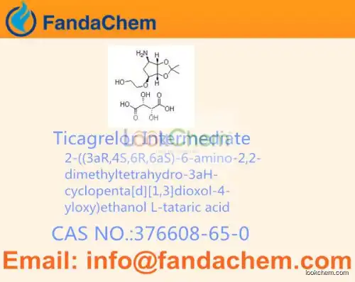 2-((3aR,4S,6R,6aS)-6-amino-2,2-dimethyltetrahydro-3aH-cyclopenta[d][1,3]dioxol-4-yloxy)ethanol L-tataric acid / Ticagrelor Intermediate cas  376608-65-0