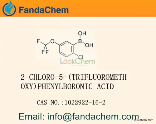 2-CHLORO-5-(TRIFLUOROMETHOXY)PHENYLBORONIC ACID cas  1022922-16-2
