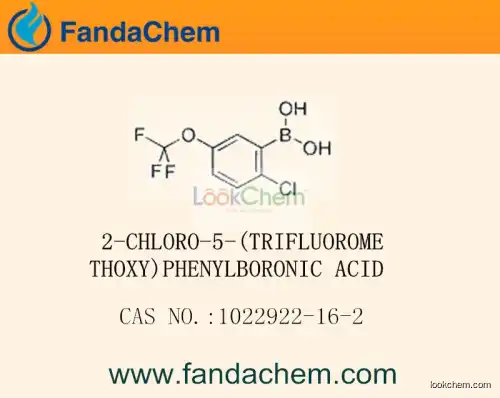 2-CHLORO-5-(TRIFLUOROMETHOXY)PHENYLBORONIC ACID cas  1022922-16-2