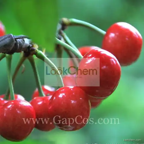 High Quality Cherry Extract Natural Vitamin C