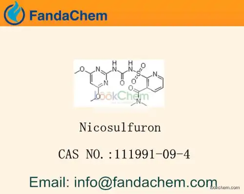 Nicosulfuron / 1-(4,6-dimethoxypyrimidin-2-yl)-3-(3-dimethylcarbamoyl-2-pyridylsulfonyl)urea cas  111991-09-4
