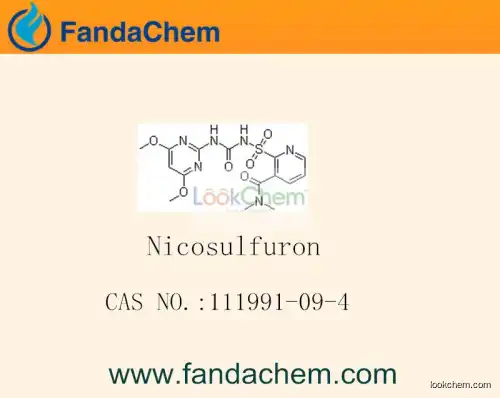 Nicosulfuron / 1-(4,6-dimethoxypyrimidin-2-yl)-3-(3-dimethylcarbamoyl-2-pyridylsulfonyl)urea cas  111991-09-4
