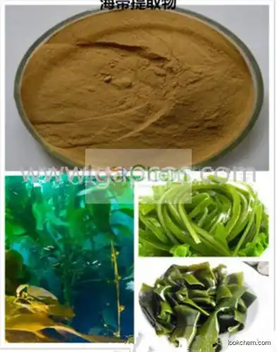 100% Pure Laminaria Japonica Extract Fucoidan