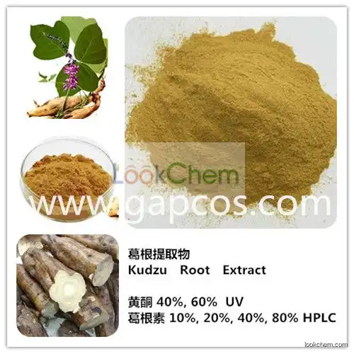 Pure isoflavones Puerarin Pueraria Lobata Root Extract Powder