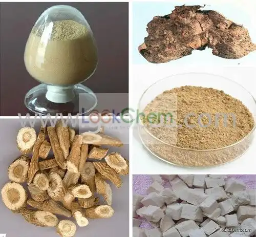 Herbal products wholesaler Poria Cocos Extract