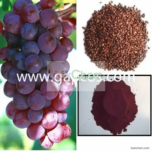 95%,98% Grape Seed Extract with Proanthocyanidins