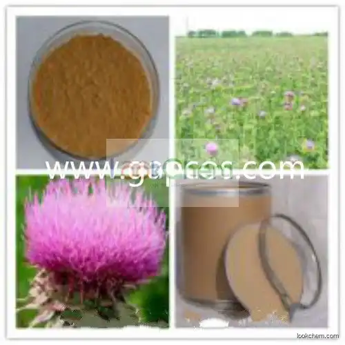 Water soluble milk thistle extract