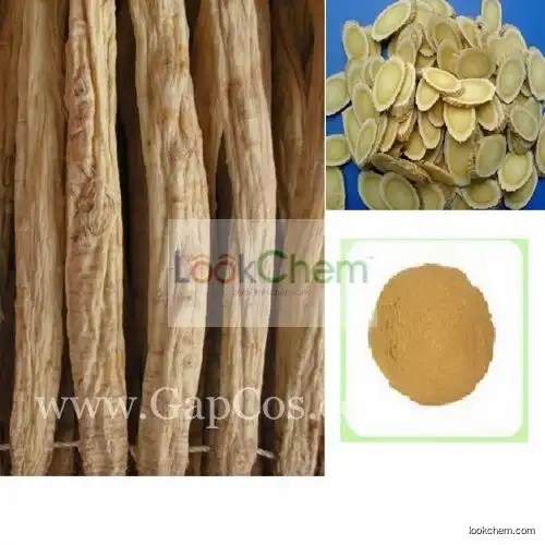 Astragalus Root Extract 50%-98% Cycloastragenol