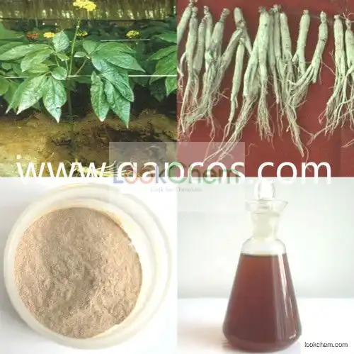 Natural Chinese Herb Extract 4%-80% Ginsenosides Panax Ginseng Extract